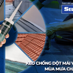 Keo chong dot Selleys Awning