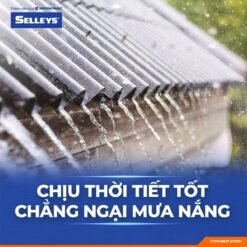 Keo chong dot Selleys Blockade 2025