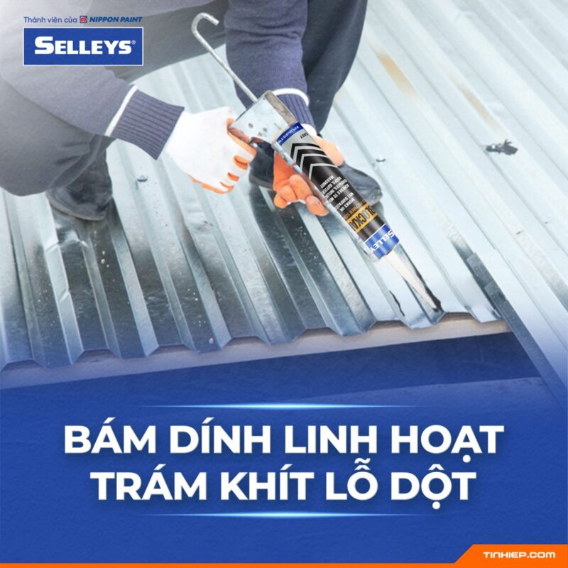 Keo chong dot Selleys Blockade 2025