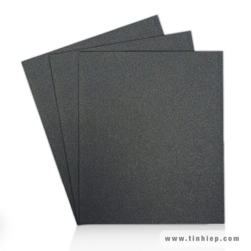 Nhám nước L TOA TLCC