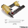 Sung ban dinh U Meite 440KB