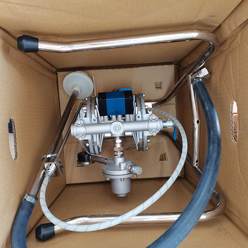 Bơm màng Iwata DPS-120B