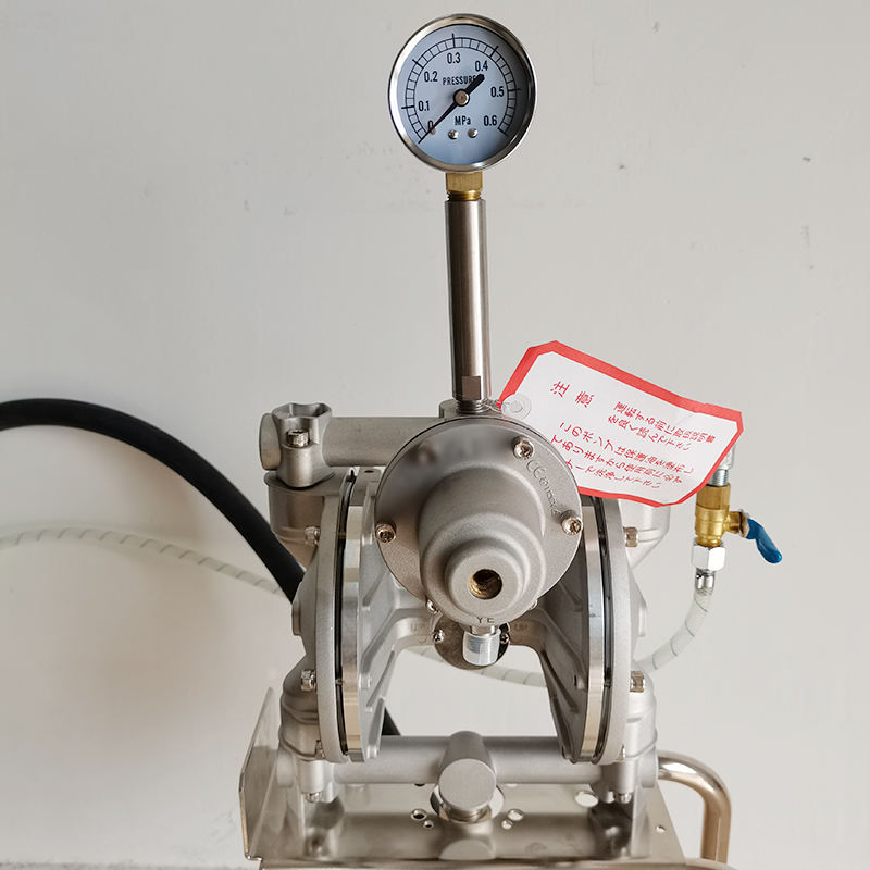 Bơm màng Iwata DPS-120B