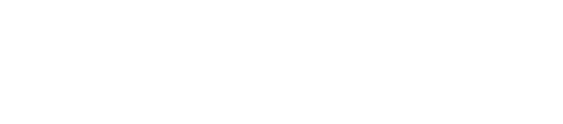 wider4 logo